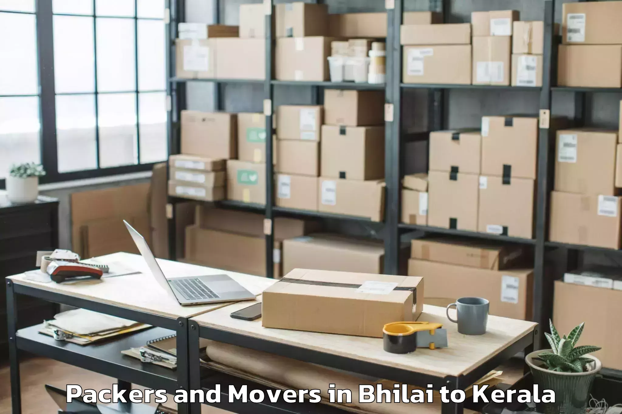 Affordable Bhilai to Chingavanam Packers And Movers